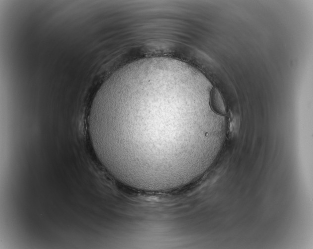 X0000088490819200706121547