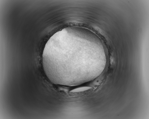 X0000088490822200706121547