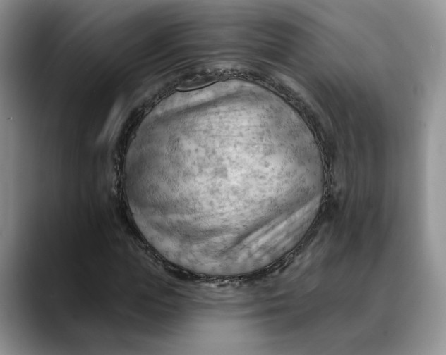 X0000088490823200706121547