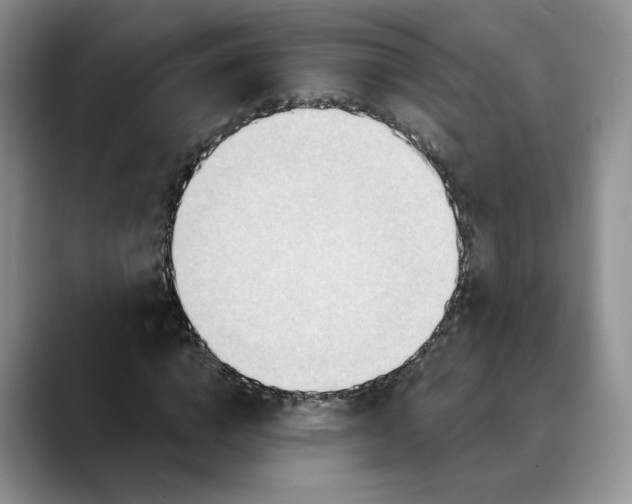 X0000088490824200706121547