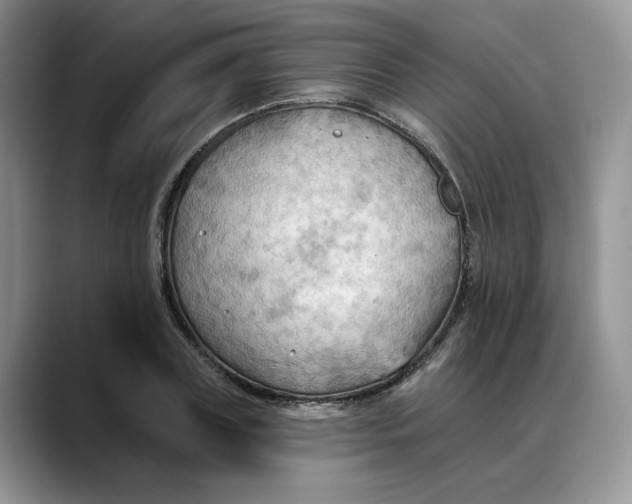 X0000088490835200706121547