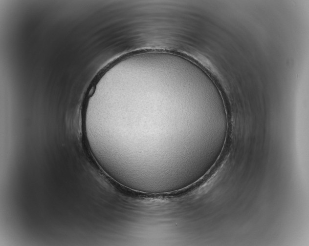 X0000088490838200706121547