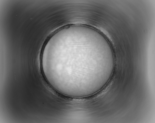 X0000088490840200706121547