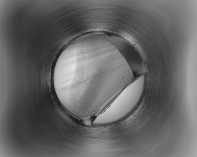 X0000088490842200706121547