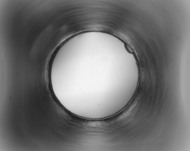 X0000088490843200706121547