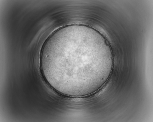 X0000088490844200706121547