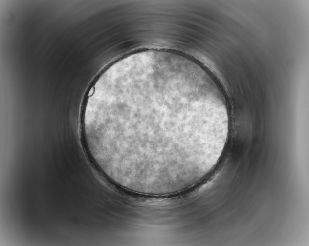 X0000088490845200706121547