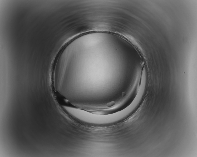 X0000088490846200706121547