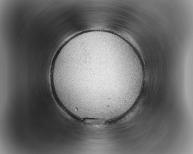 X0000088490847200706121547