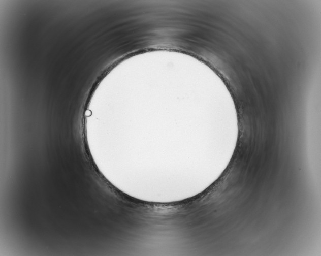 X0000088490848200706121547