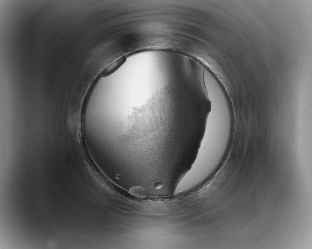 X0000088490850200706121548