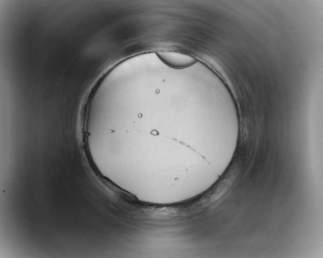 X0000088490851200706121548