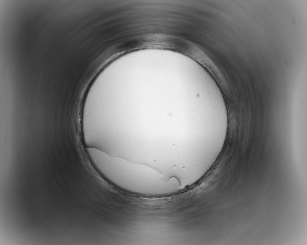 X0000088490852200706121548