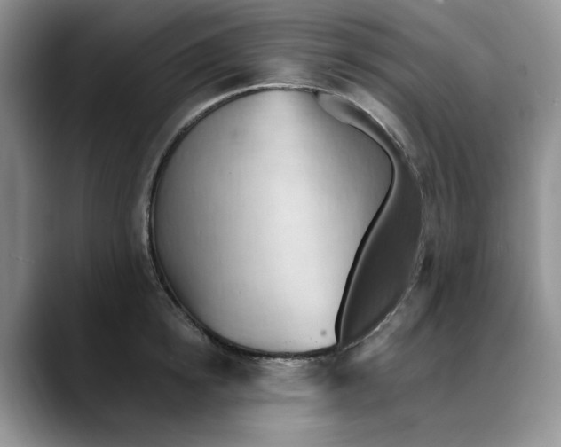 X0000088490854200706121548