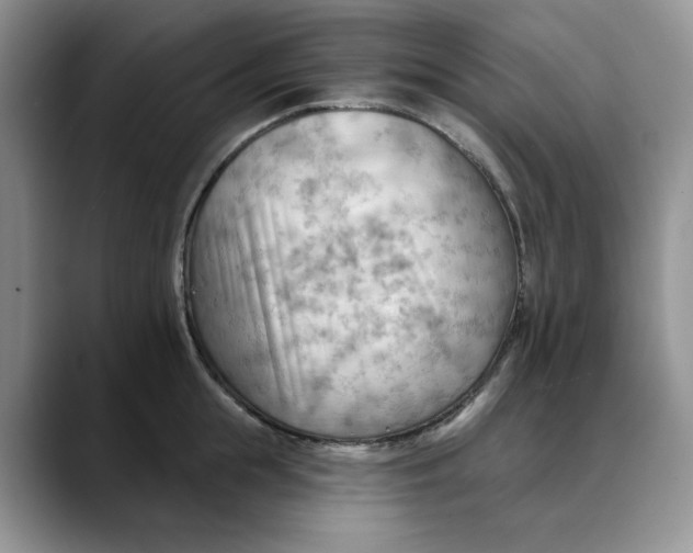 X0000088490855200706121548