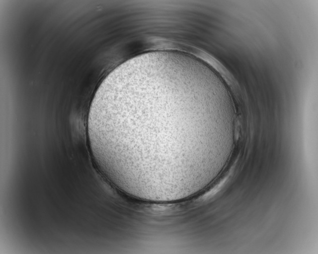 X0000088490857200706121548