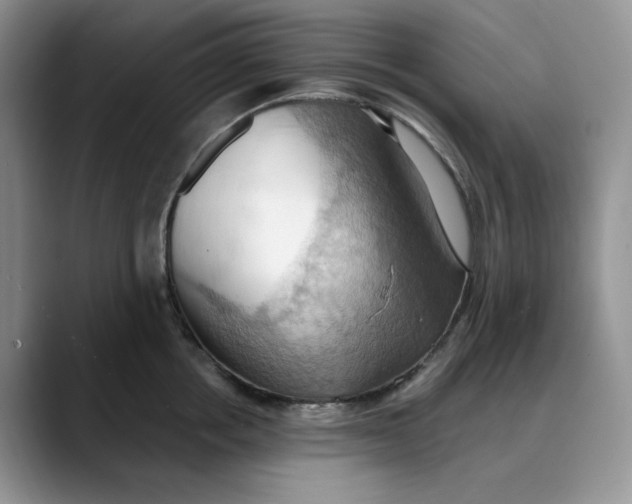 X0000088490858200706121548