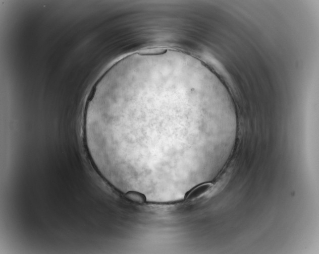 X0000088490860200706121548