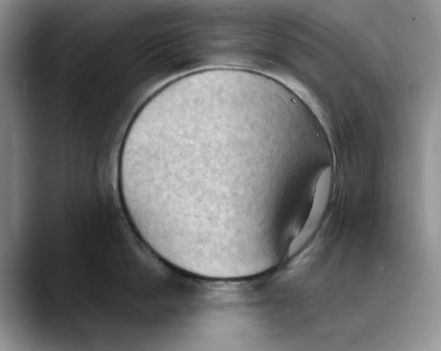 X0000088490862200706121548