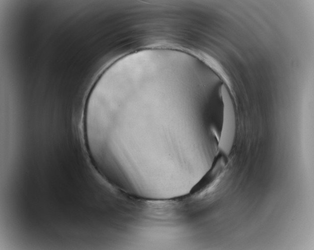 X0000088490863200706121548