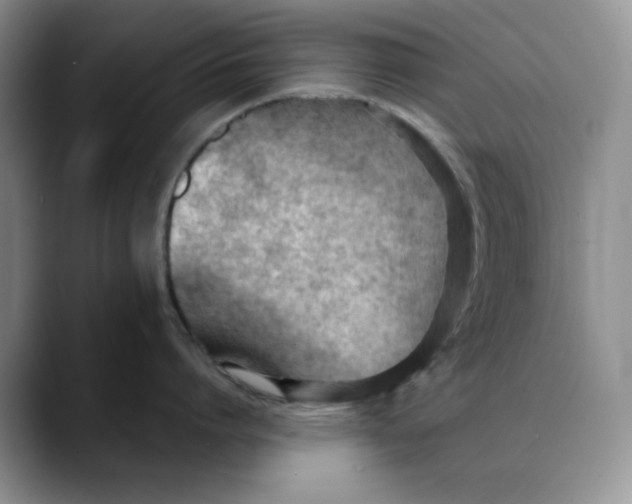 X0000088490864200706121548