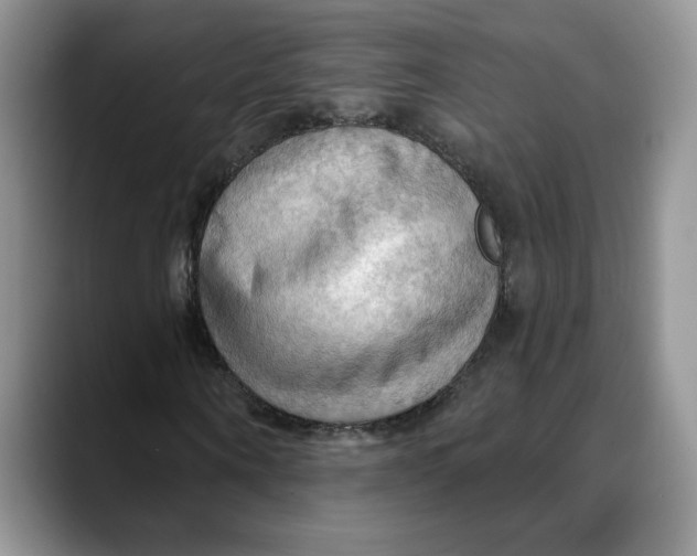 X0000088490866200706121547