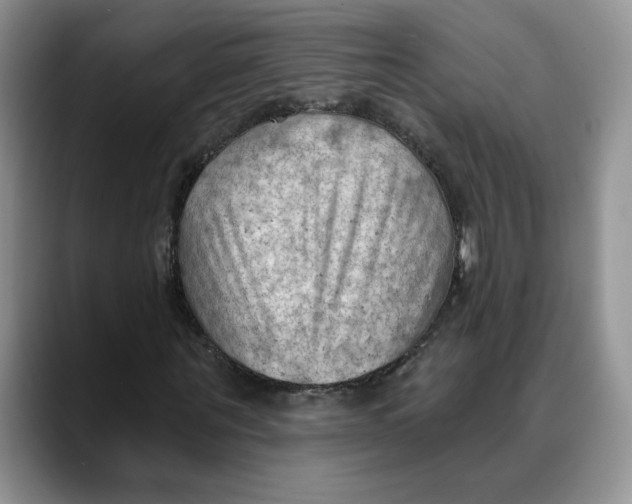 X0000088490867200706121547