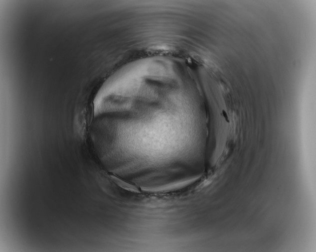 X0000088490868200706121547