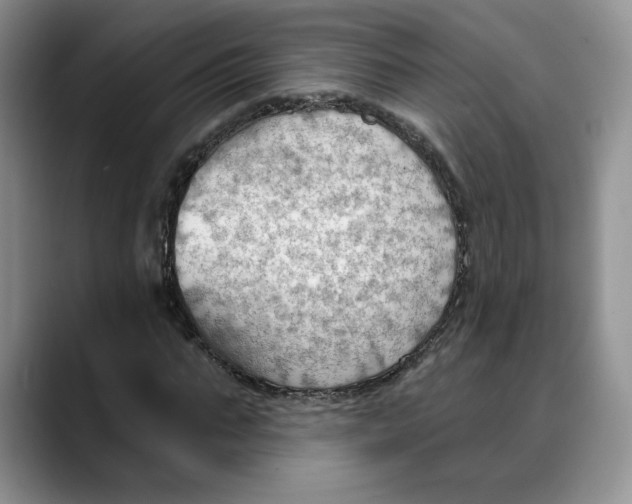 X0000088490871200706121547