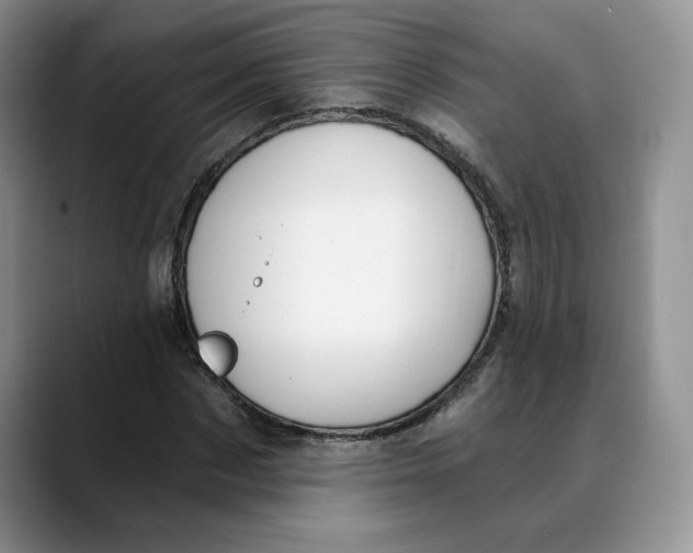 X0000088490873200706121547