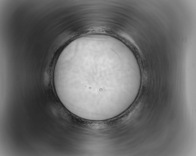 X0000088490874200706121547