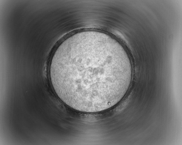 X0000088490875200706121547