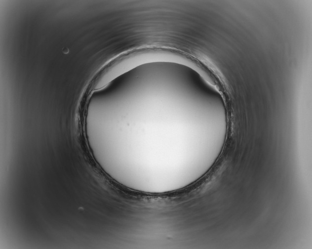 X0000088490876200706121547