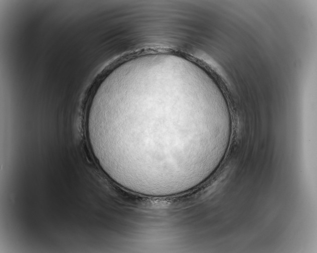 X0000088490878200706121547