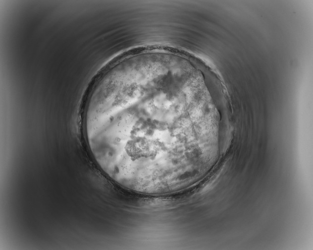 X0000088490879200706121547