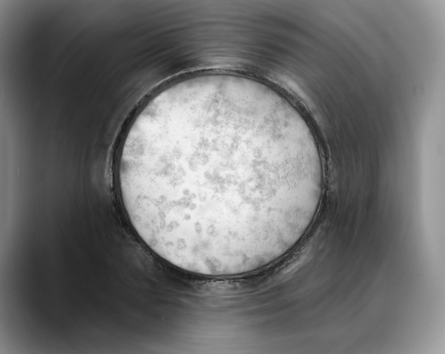 X0000088490883200706121547