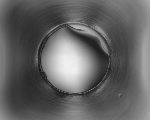 X0000088490884200706121547