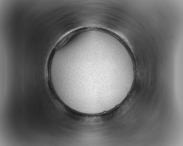 X0000088490887200706121547