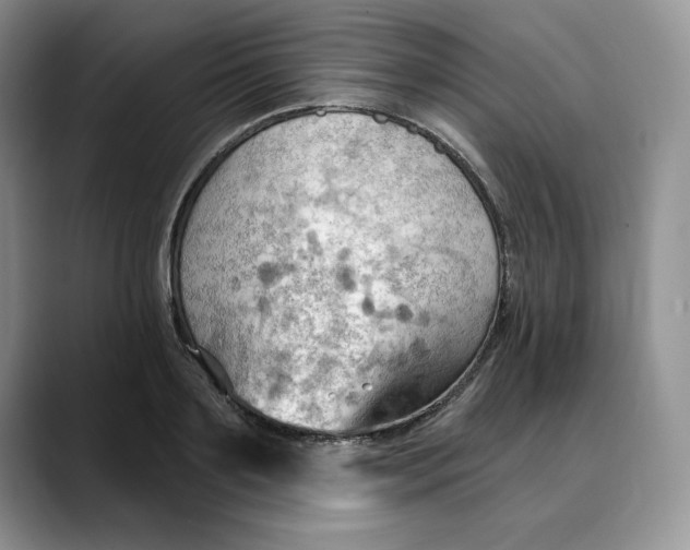 X0000088490891200706121547