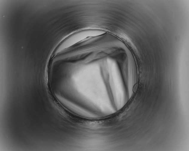 X0000088490892200706121547