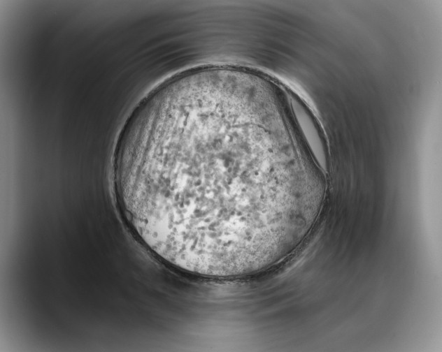 X0000088490895200706121547