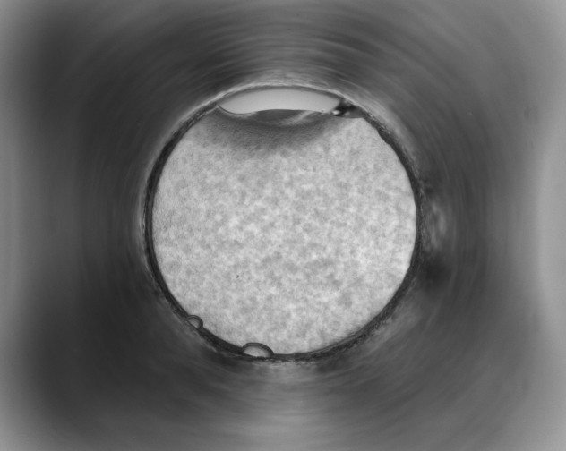 X0000088490896200706121547