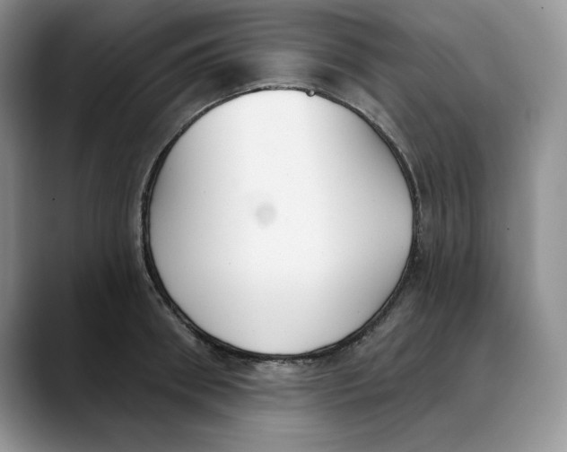 X0000088490898200706121547