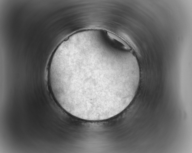 X0000088490900200706121547