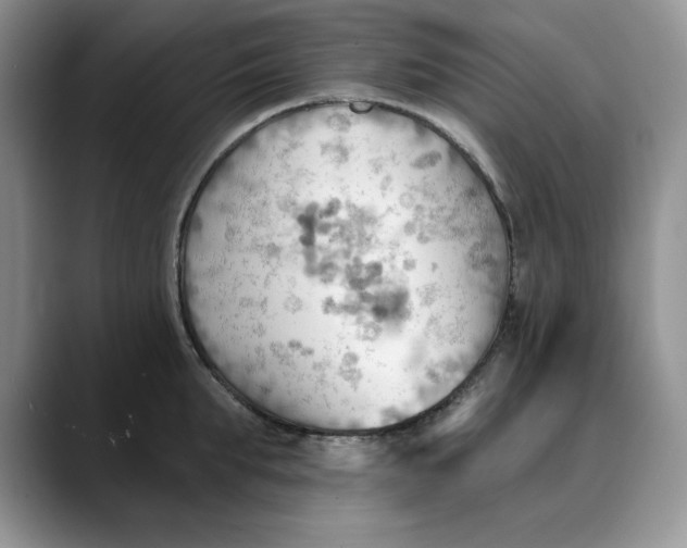 X0000088490903200706121547