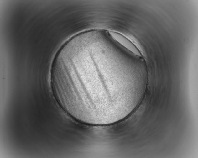 X0000088490904200706121547