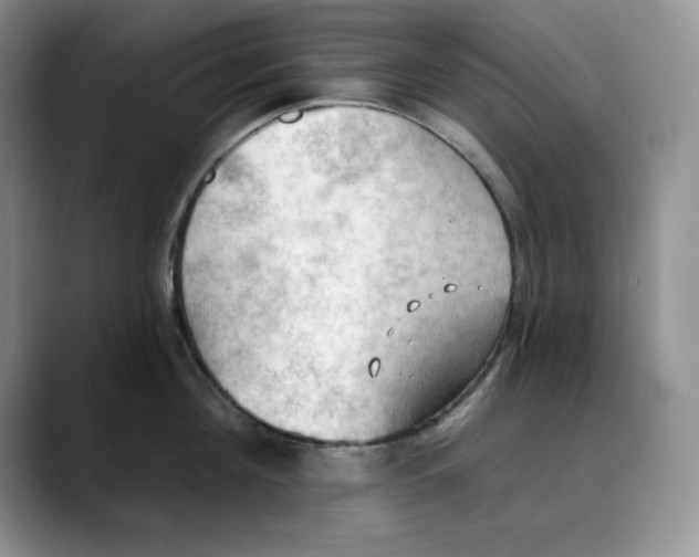 X0000088490908200706121547