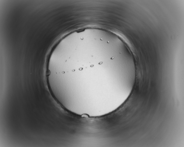 X0000088490910200706121547