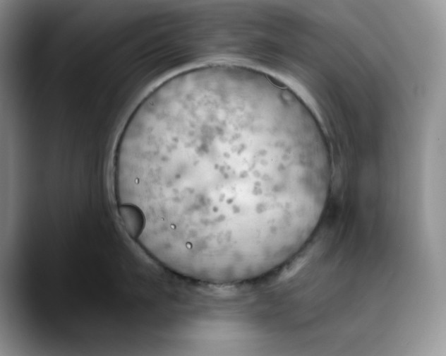 X0000088490911200706121547