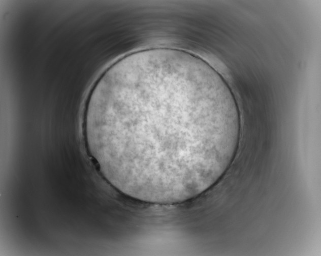 X0000088490912200706121547